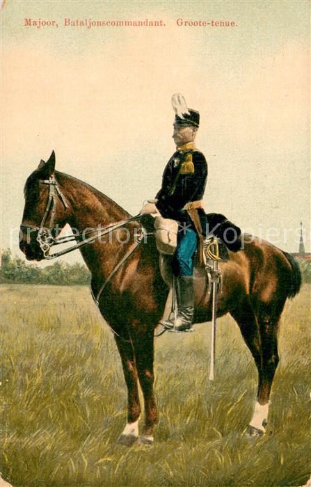 73760167 Militaria Offiziere Majoor Bataljonscommandant Groote tenue