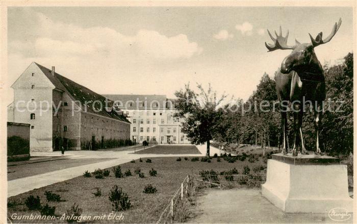 73791028 Gumbinnen Goesev Gussew Oblast Kaliningrad RU Anlagen m Elch - Feldpost