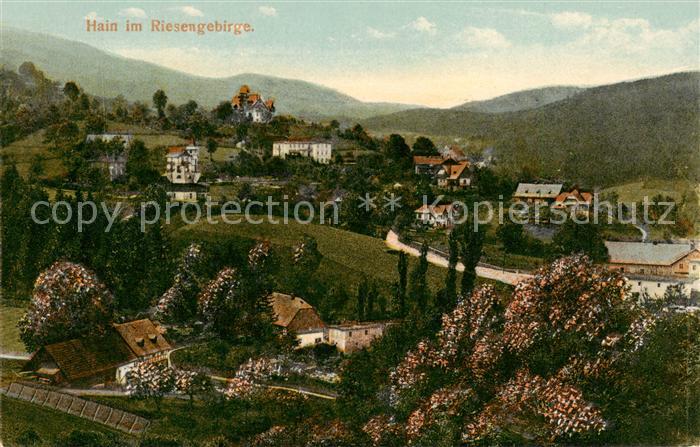 73819294 Hain Giersdorf Monts des Géants Podgorzy PL Panorama