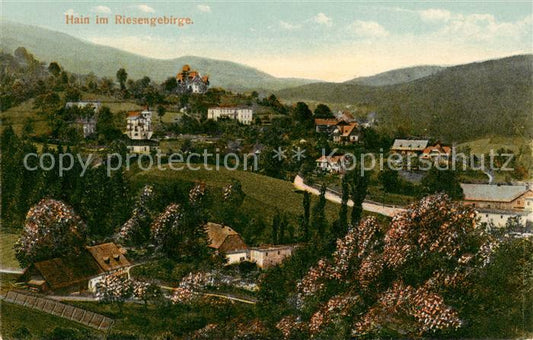 73819294 Hain Giersdorf Monts des Géants Podgorzy PL Panorama