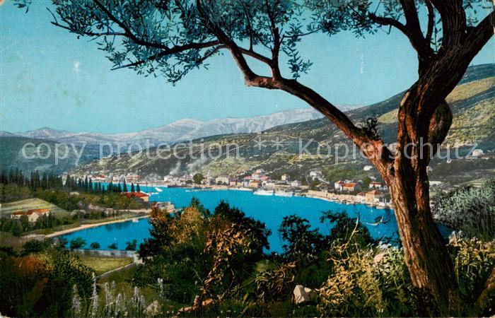 73848896 Gravosa Gruz Croatia Panorama mit oelbaum