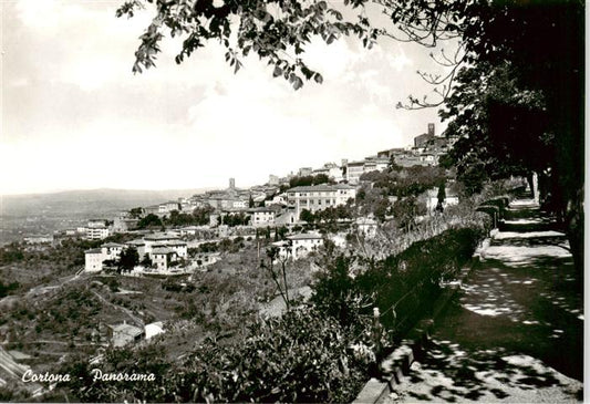 73871983 Cortona Toscana IT Panorama