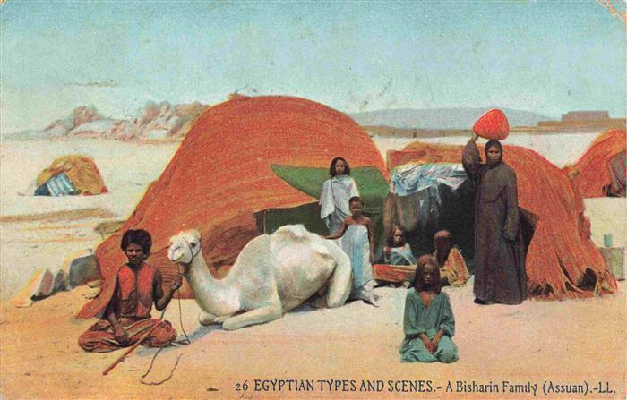 74001616 Types d Orient Nr. Egyptian Scenes A Bisharin Family Assuan Kamel