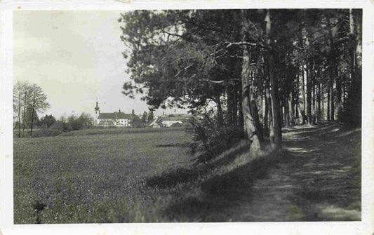 74014718 Konice Konitz Prostejov Prossnitz CZ Waldpartie Kirche