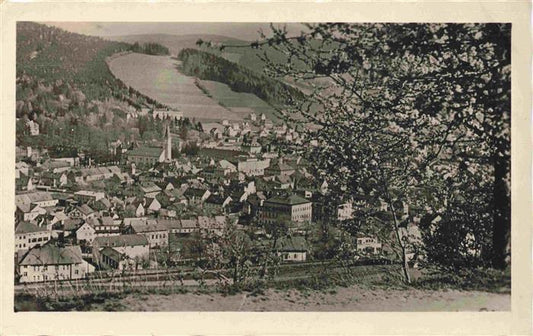 74014725 Lazne Jesenik Graefenberg Bad Schlesien CZ Panorama