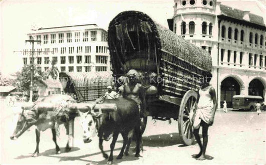 74015395 Ceylon  SRI LANKA Double Bullock Cart