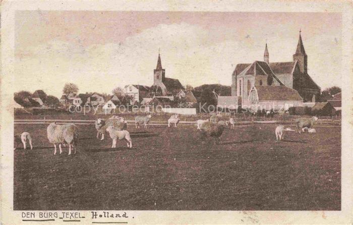 74016653 TEXEL NL Burg Texel Kirche