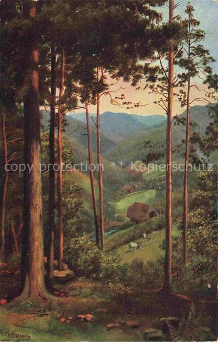 74004234 Hoffmann  Heinrich Kuenstlerkarte Sueddeutschland Alsace Durchblick ins