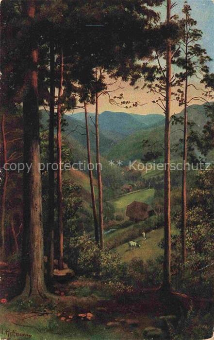 74004235 Hoffmann  Heinrich Kuenstlerkarte Sueddeutschland Alsace Durchblick ins