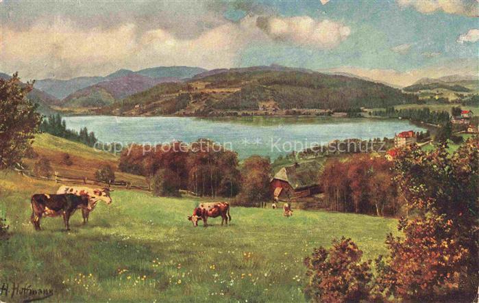 74004277 Hoffmann  Heinrich Kuenstlerkarte Sueddeutschland Alsace Titisee mit Fe