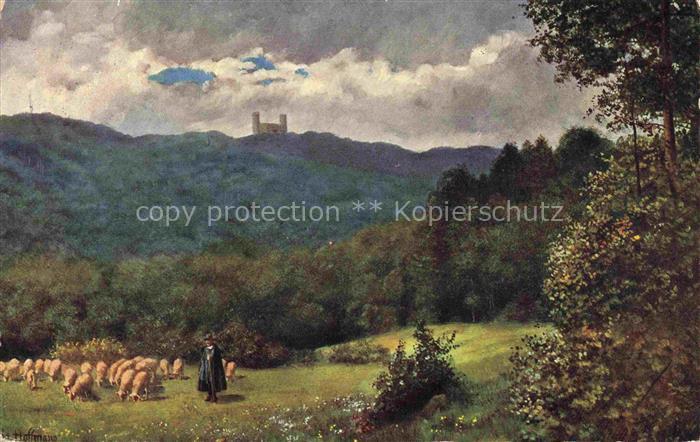 74004907 Hoffmann  Heinrich Kuenstlerkarte Sueddeutschland Alsace Blick auf Andl