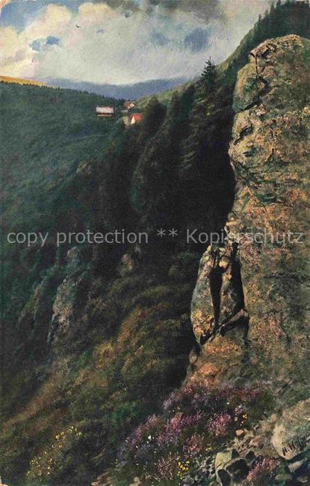 74006531 Hoffmann Heinrich Artiste Carte Sud de l'Allemagne Gorges de l'Alsace