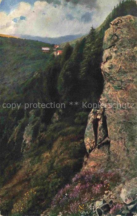 74006532 Hoffmann Heinrich Artiste Carte Sud de l'Allemagne Gorges de l'Alsace