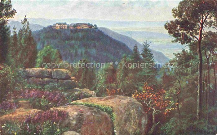 74006566 Hoffmann Heinrich artist map Southern Germany Alsace Mont Ste Odile