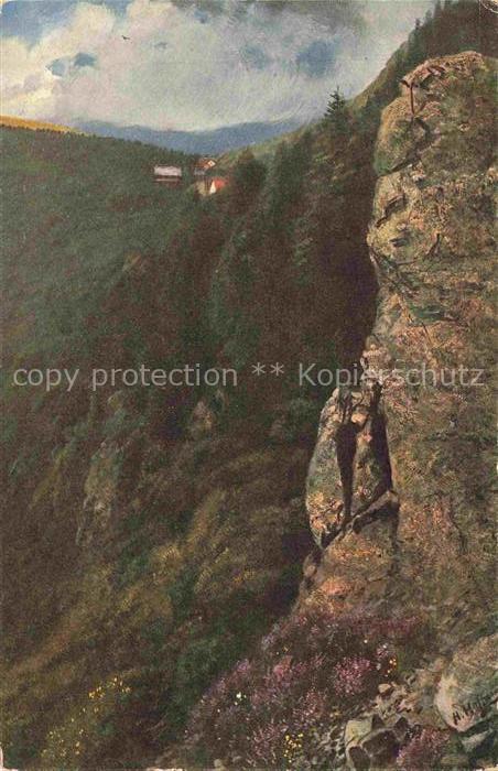 74006575 Hoffmann Heinrich Artist's Map Southern Germany Alsace Gorge