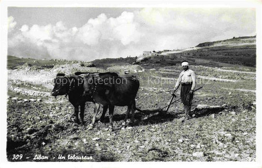 74007253 LEBANON A ploughman