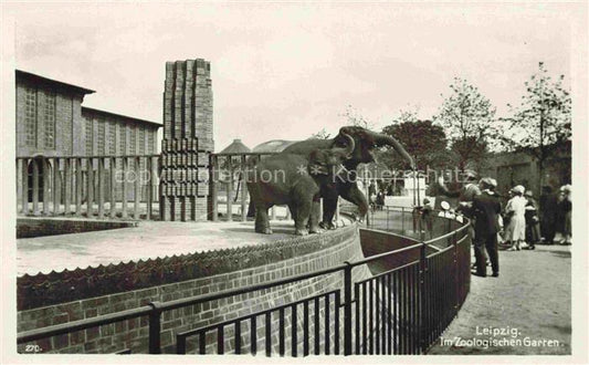 74017514 Zoo Gardin Zoologique-- Leipzig Elefanten