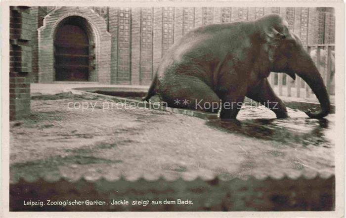 74017522 Zoo Gardin Zoologique-- Leipzig Elefant Jackie