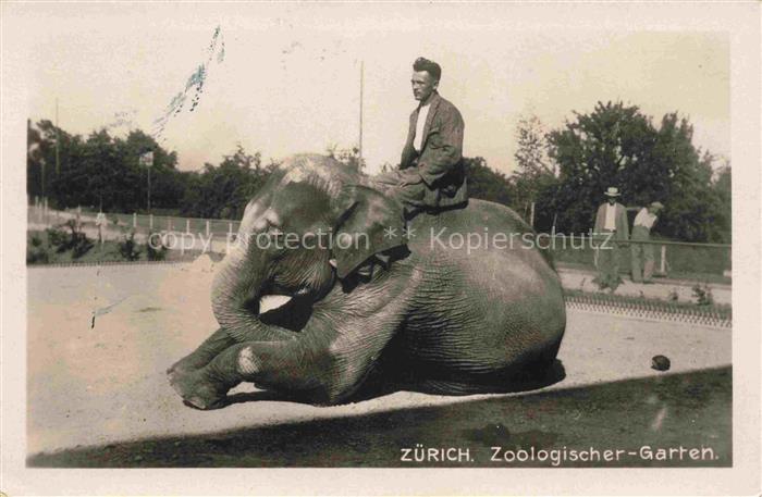 74019691 Zoo Gardin Zoologique-- Zuerich Elefant