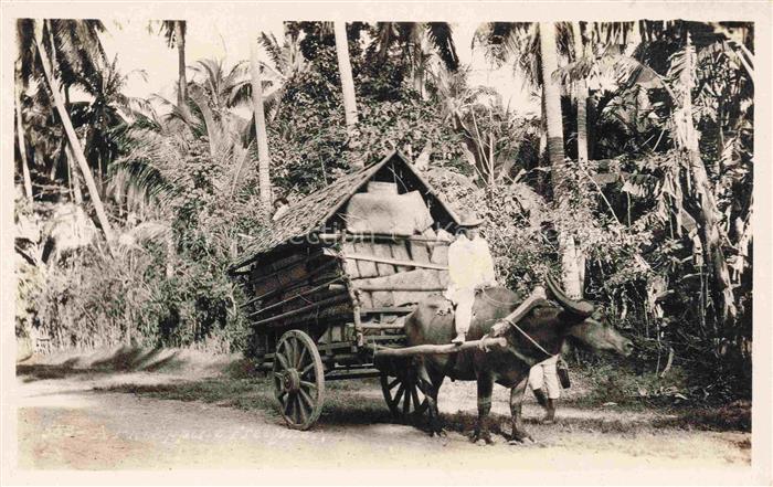 74019759 Philippinen Philippines Stier kutsche