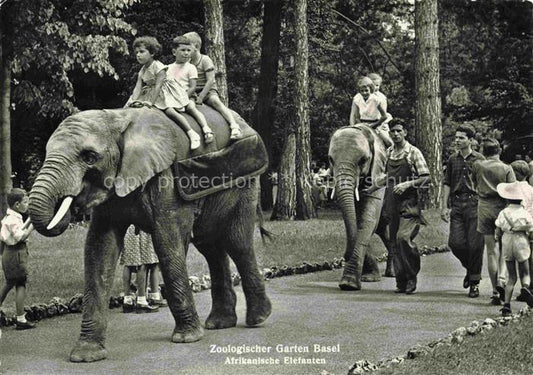 74020202 Zoo Gardin Zoologique-- Basel Afrikanische Elefanten