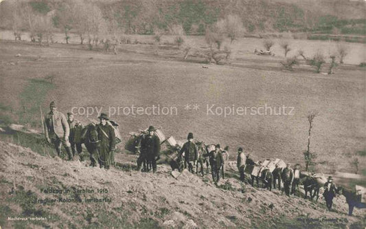 74030195 Serbien Serbija Feldzug 1915 Tragtier Kolonie im Ibartal