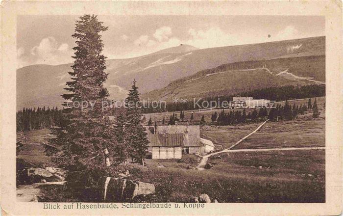 74023436 Hasenbaude Schlingelbaude Riesengbirge Schneekoppe PL Panorama