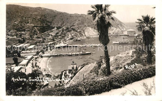 13153172 Avalon California Panorama Harbour