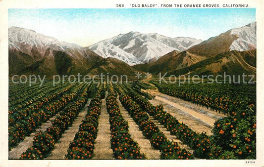 13307921 California US-State Old Baldy from the Orange Groves