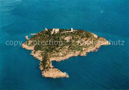 13316973 Isola Gallinara aerial photograph