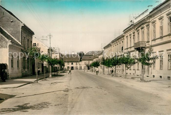 13544389 Petrinja Croatia Stadtpanorama