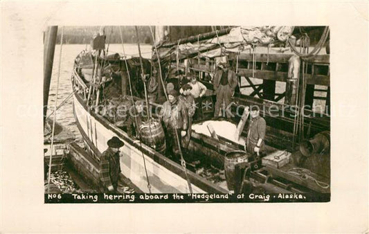 33549641 Craig Alaska Taking Herring aboard the Hedgeland