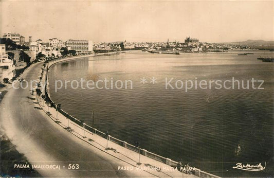 13555598 Palma de Mallorca Kathedrale Promenade