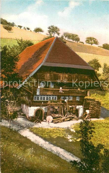 13697519 Neumarkt Lower Silesia Dairy