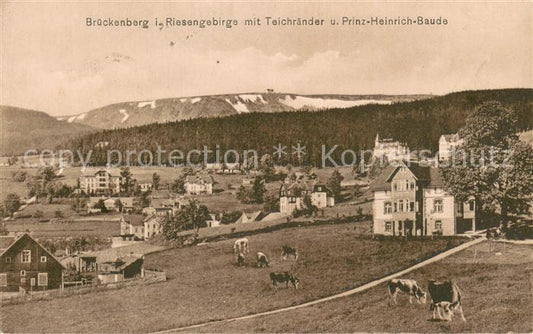 13697538 Brueckenberg Krummhuebel Riesengebirge mit Teichraenderund Prinz Heinri