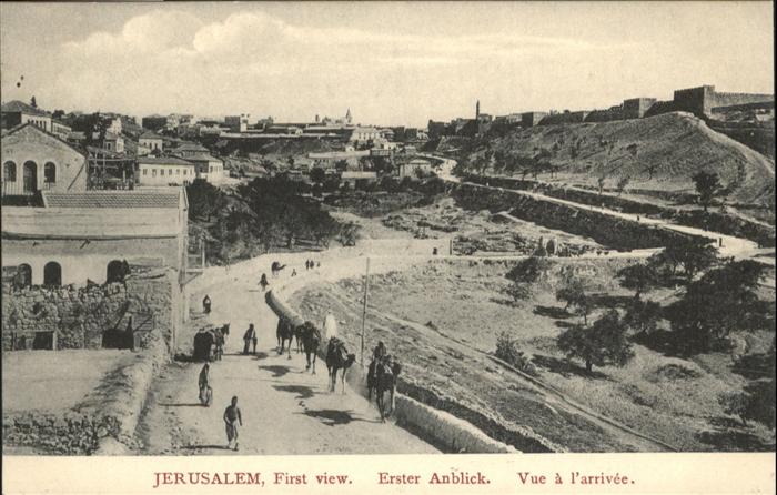 10956780 Jerusalem Yerushalayim First View Camel