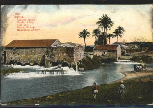 10956828 Jaffa Auja Mill