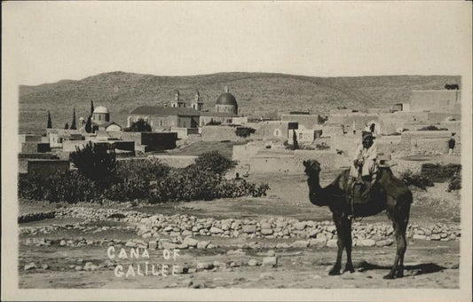 10956841 Galilee Cana Camel