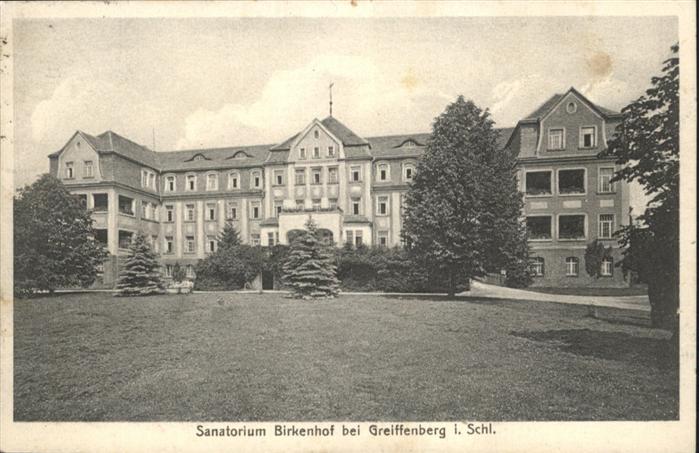 10959001 Greiffenberg Schlesien Sanatorium Birkenhof