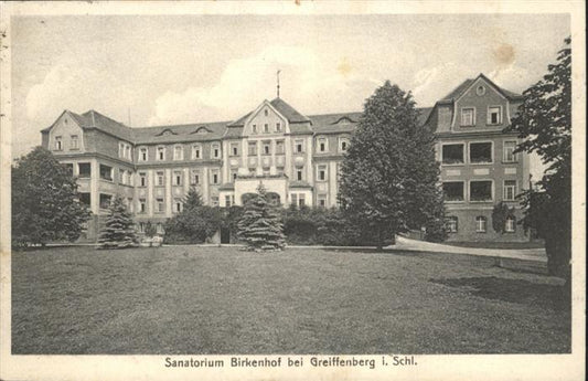 10959001 Greiffenberg Schlesien Sanatorium Birkenhof