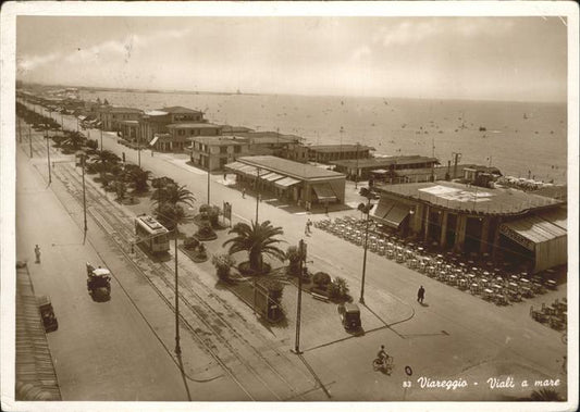 11064290 viareggio