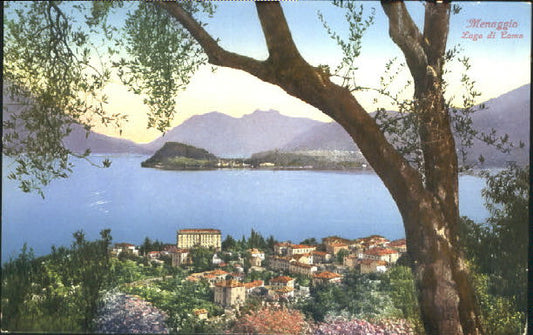 10599335 Menaggio Menaggio Lago di Como ungelaufen ca. 1920