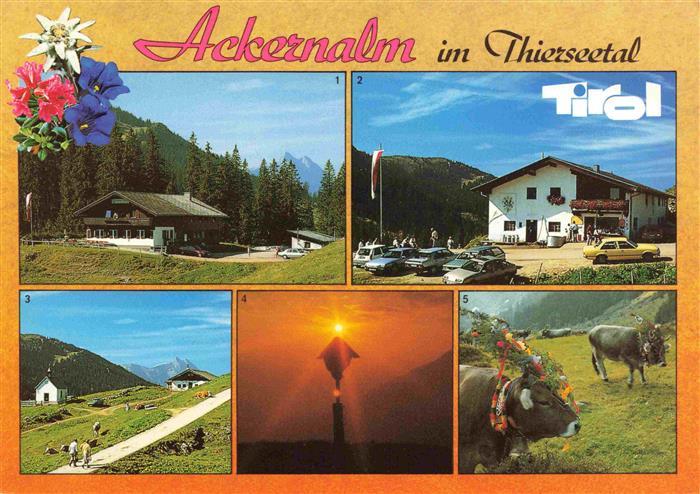 73993123 Ackernalm 1350m Thiersee Tirol AT Alpengasthof Ackernalm Sennerei Blick