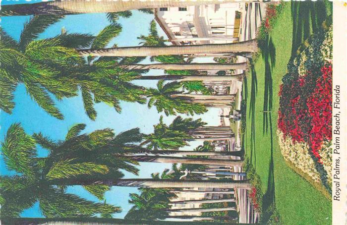 73998189 Palm Beach Florida USA Royal Palms