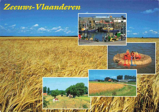 73998244 Zeeuws Zeeuwsch Vlaanderen NL Vues partielles du port panoramique