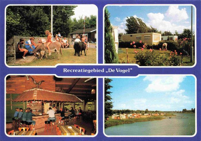 73998246 Hengstdijk Camping Dagreatie Kampeerboerderij Bungalowpark Panorama Gaz