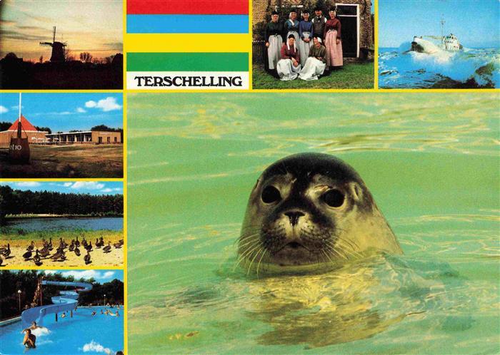 73998272 Terschelling Friesland NL Windmill Beach Swimming Pool Traditional Costume Group S