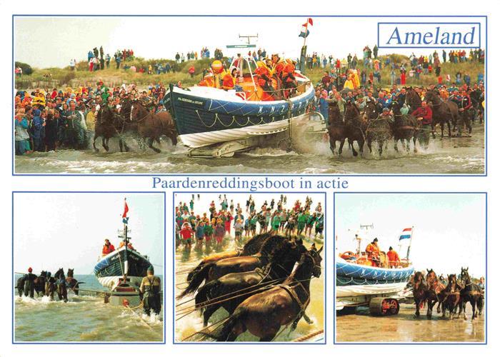 73998273 Ameland Friesland NL Paardenreddingsboot en détails d'activité