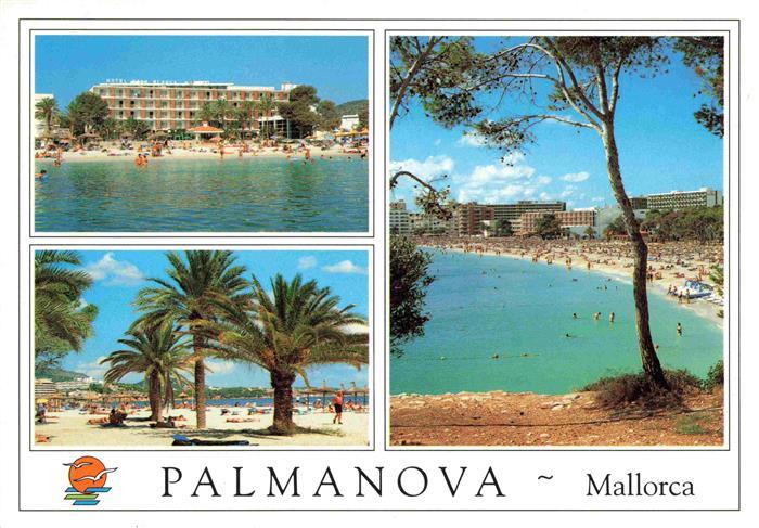 73998071 Palmanova Palma-Nova Palma de Mallorca ES Beach areas Palm trees