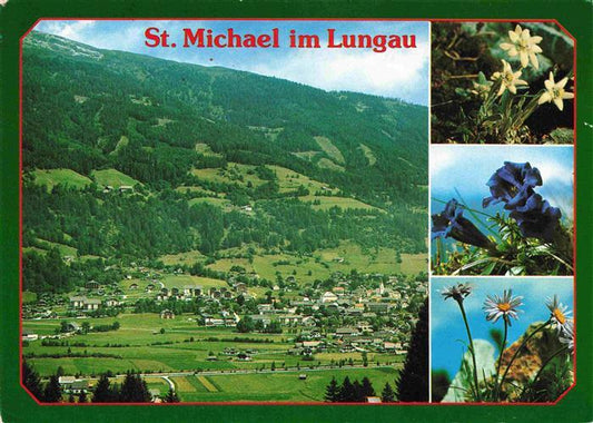 73999184 St Michael Lungau AT Fliegeraufnahme Alpenflora